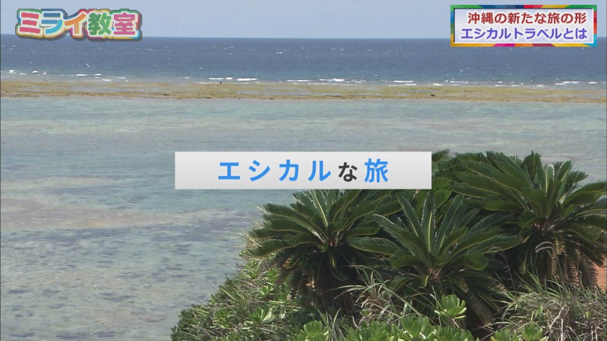 沖縄の新たな旅の形「エシカルトラベル」【THE KITCHEN HOSTEL AO