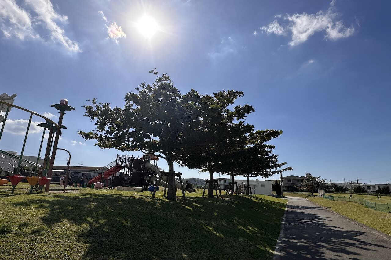 ながたじょうばる公園_八重瀬町