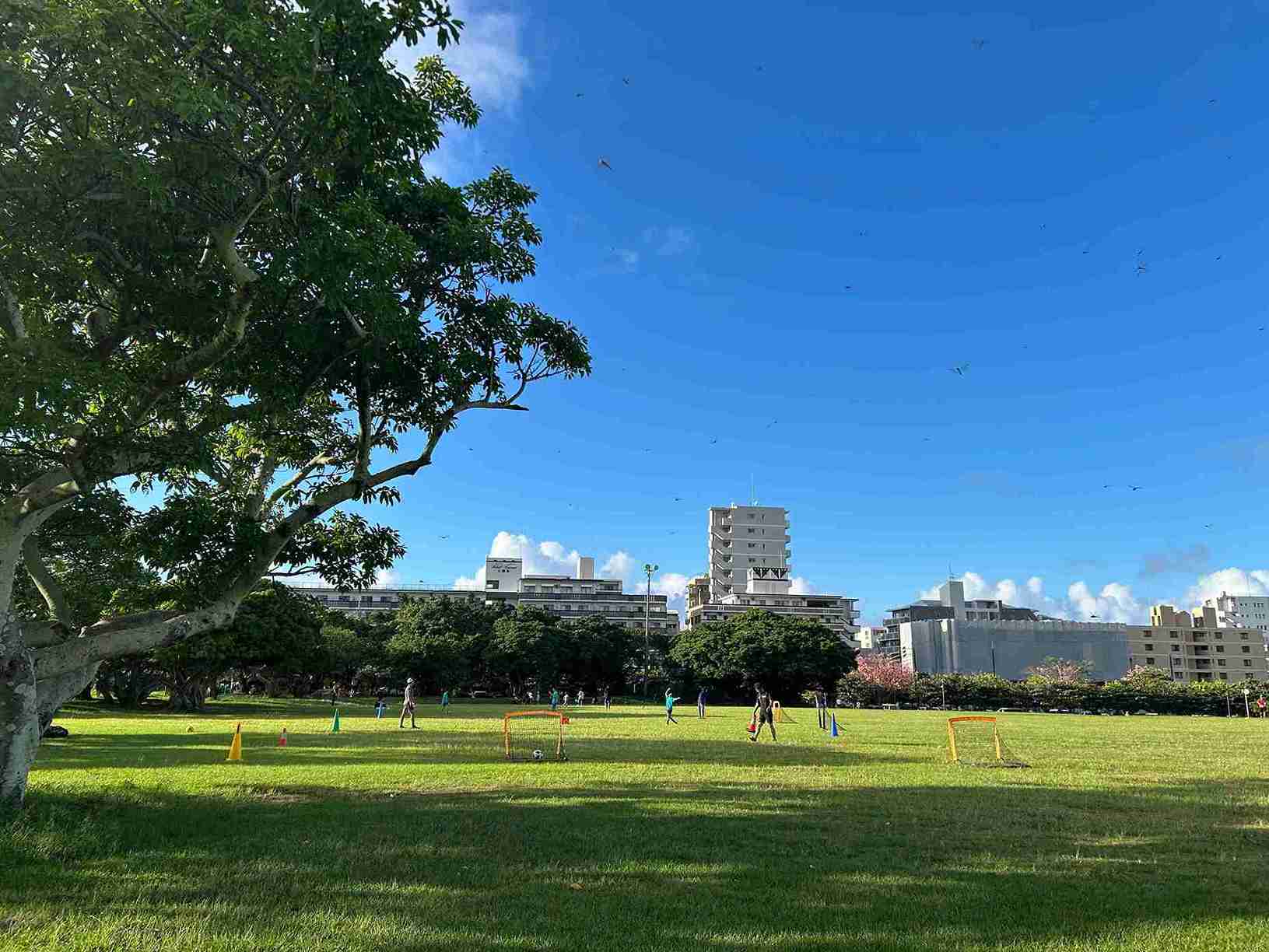 新都心公園_那覇市