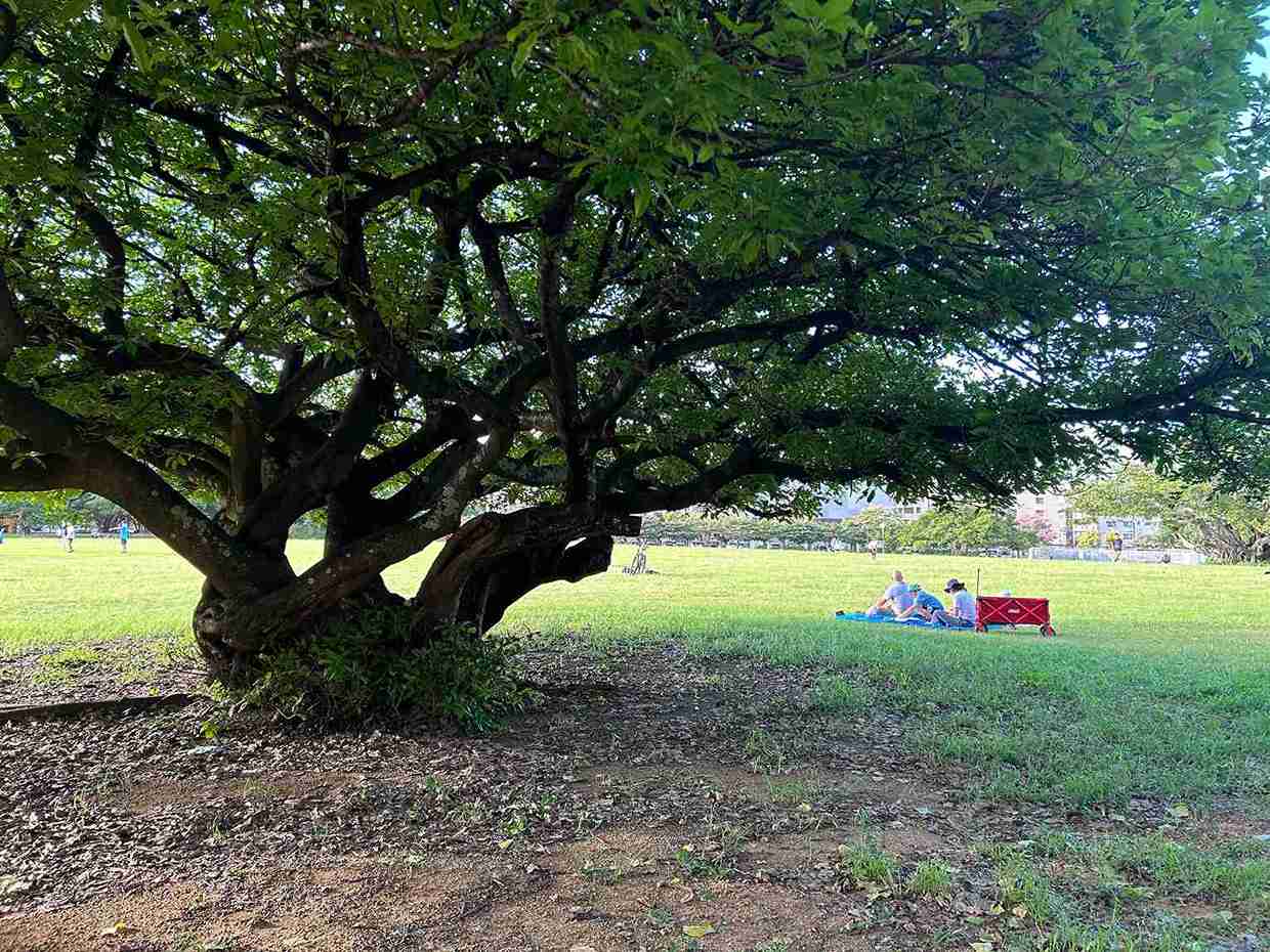 新都心公園_那覇市