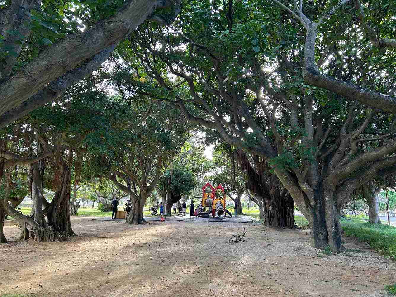 新都心公園_那覇市