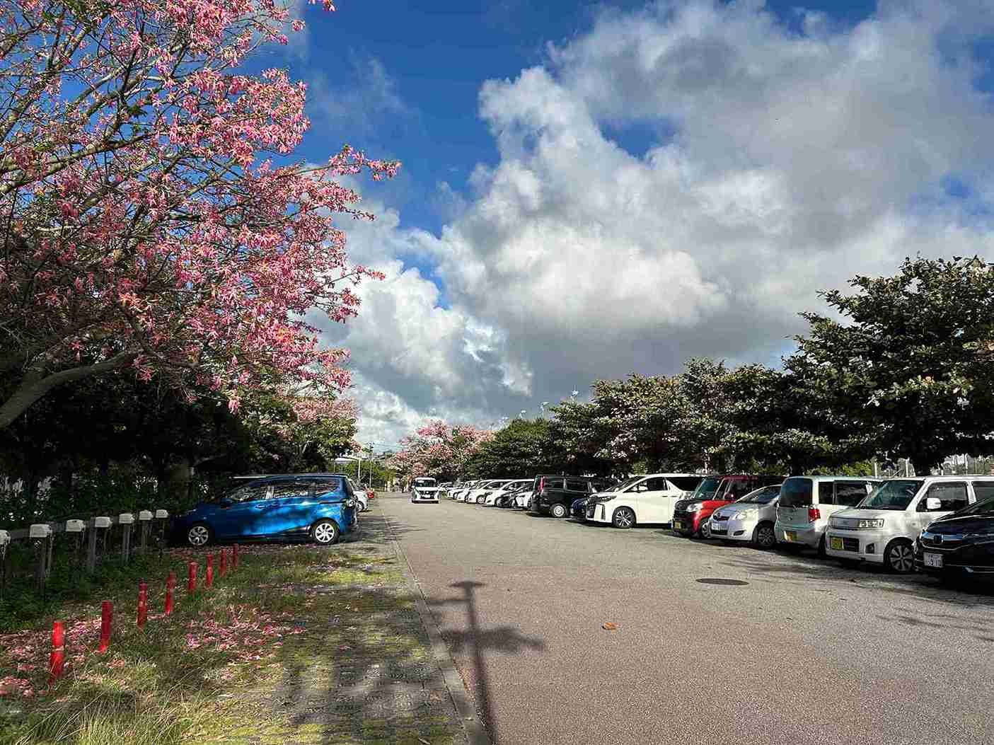 新都心公園_那覇市