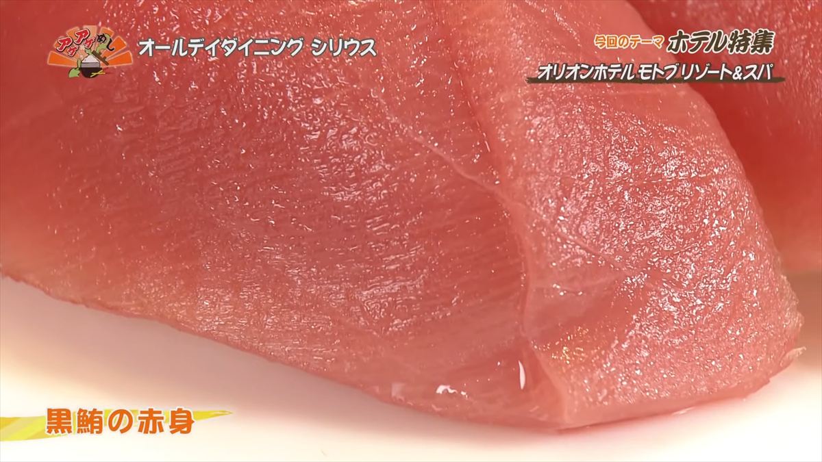 オリオンホテル モトブ リゾート＆スパ（本部町備瀬）｜OTV アゲアゲめし 2025年7月25日放送