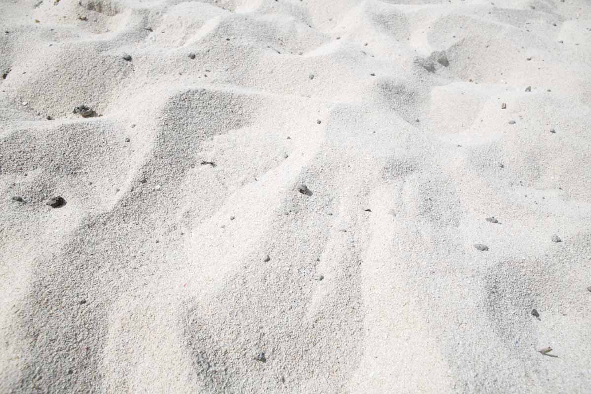澄みわたる海と真っ白な砂浜！おしゃれに遊べる絶好スポット「アラハビーチ」を徹底解説（北谷町）