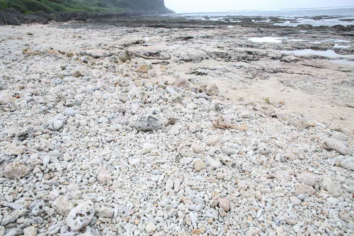 沖縄の天然水族館！ジョン万ビーチ（大度浜海岸）の絶景と魅力を詳しく解説（糸満市）