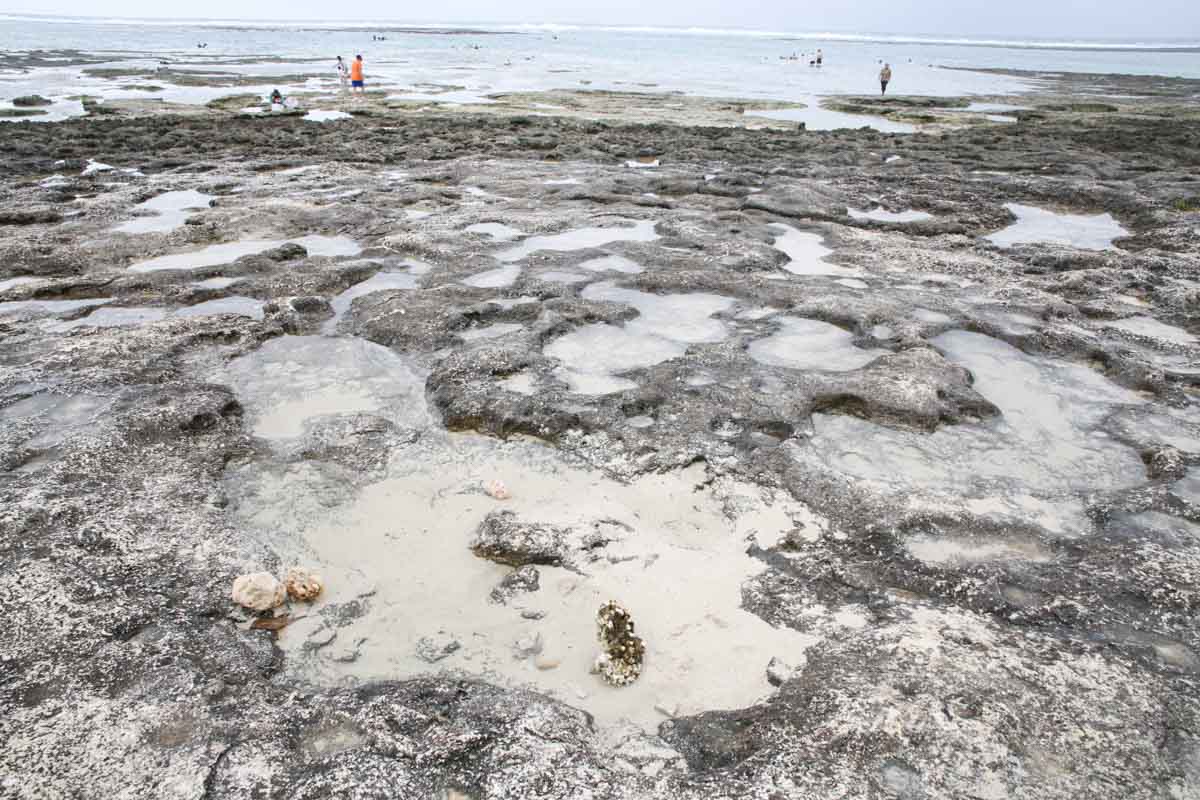 沖縄の天然水族館！ジョン万ビーチ（大度浜海岸）の絶景と魅力を詳しく解説（糸満市）