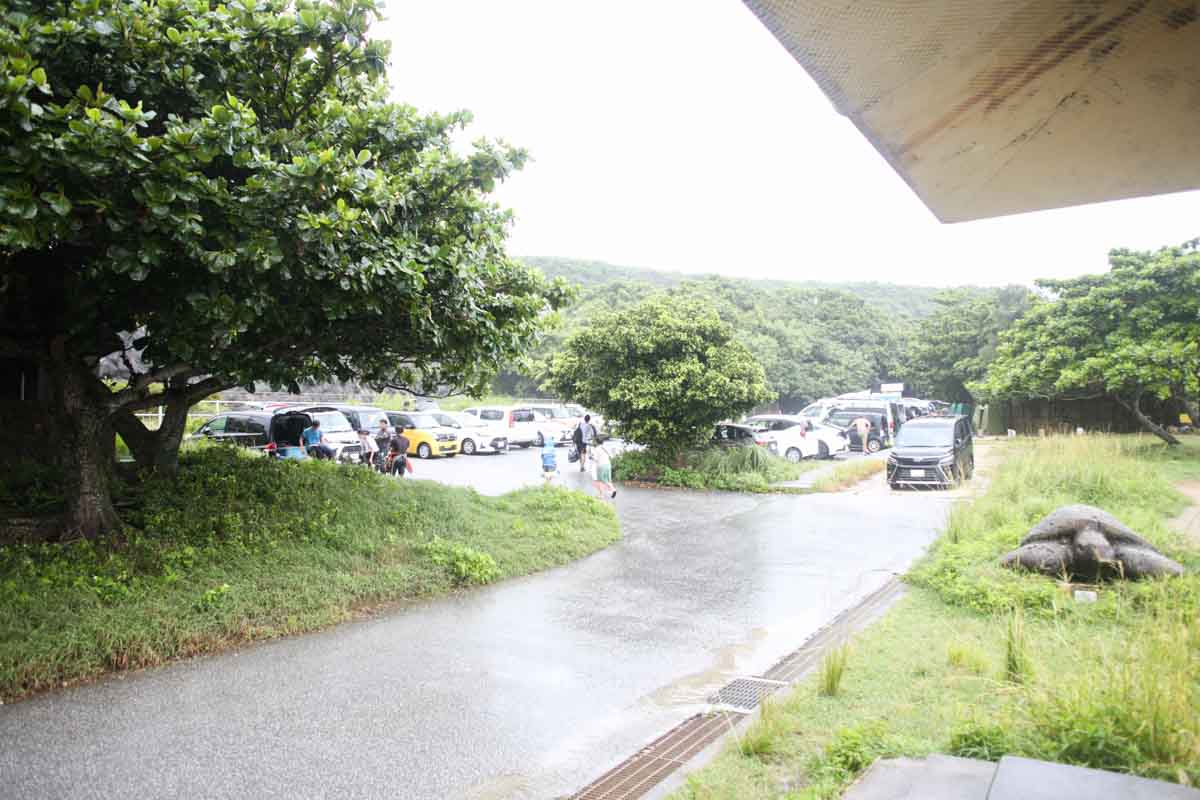 沖縄の天然水族館！ジョン万ビーチ（大度浜海岸）の絶景と魅力を詳しく解説（糸満市）