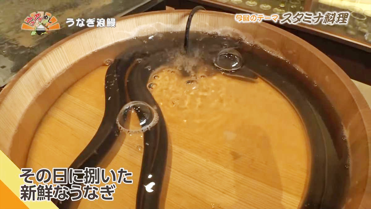 うなぎ浪鰻 (那覇市久茂地)|OTV アゲアゲめし 2025年8月8日放送