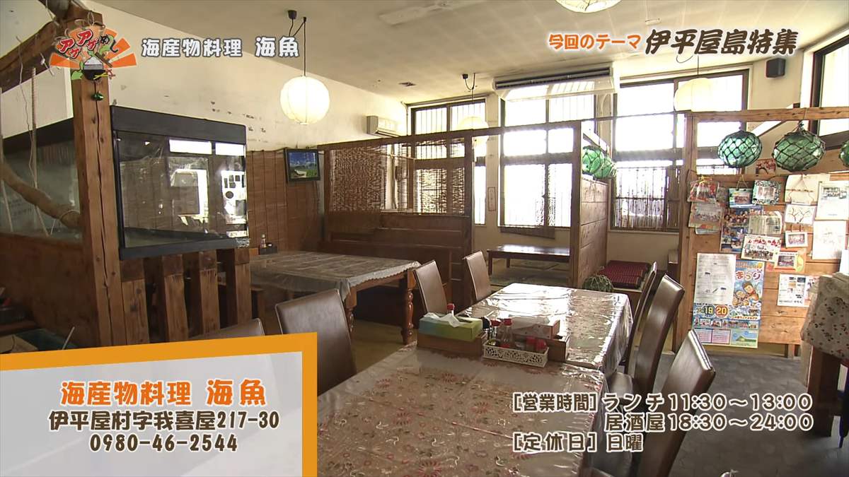 海産物料理 海魚 (伊平屋村我喜屋)|OTV アゲアゲめし 2025年8月15日放送