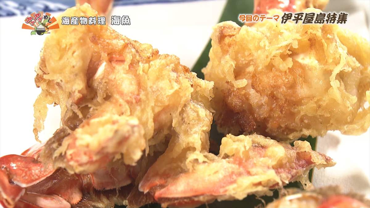 海産物料理 海魚 (伊平屋村我喜屋)|OTV アゲアゲめし 2025年8月15日放送