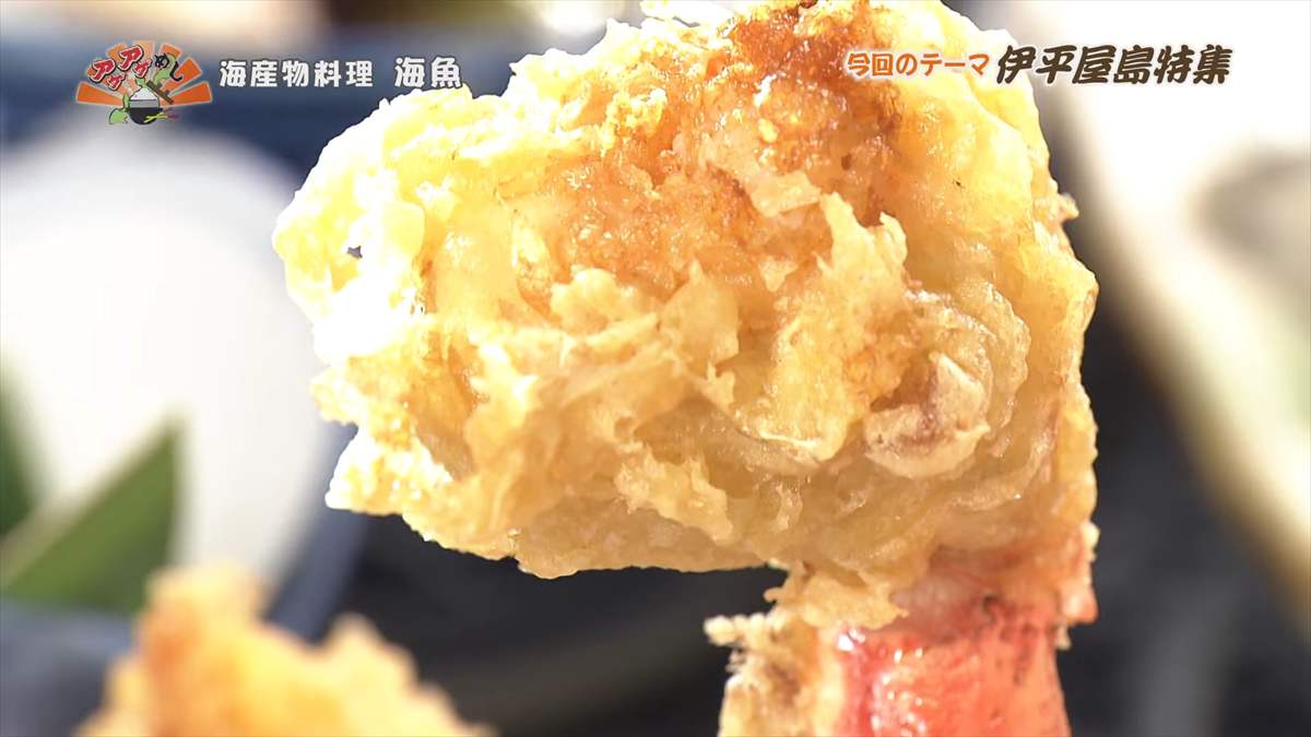 海産物料理 海魚 (伊平屋村我喜屋)|OTV アゲアゲめし 2025年8月15日放送