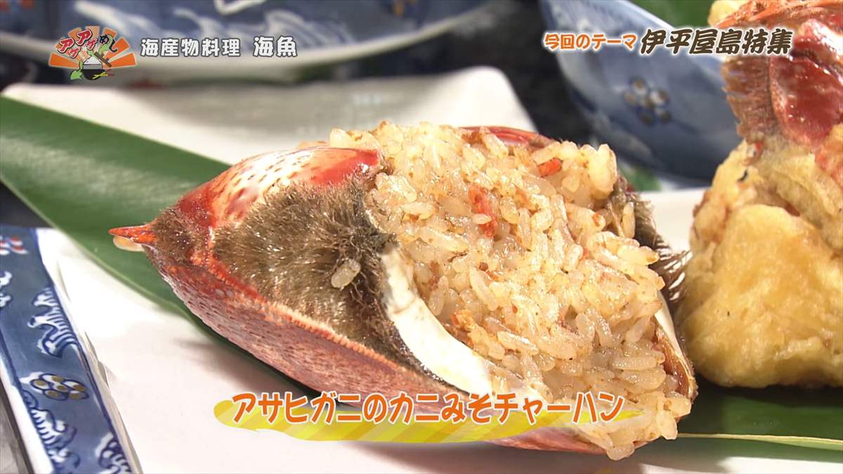 海産物料理 海魚 (伊平屋村我喜屋)|OTV アゲアゲめし 2025年8月15日放送