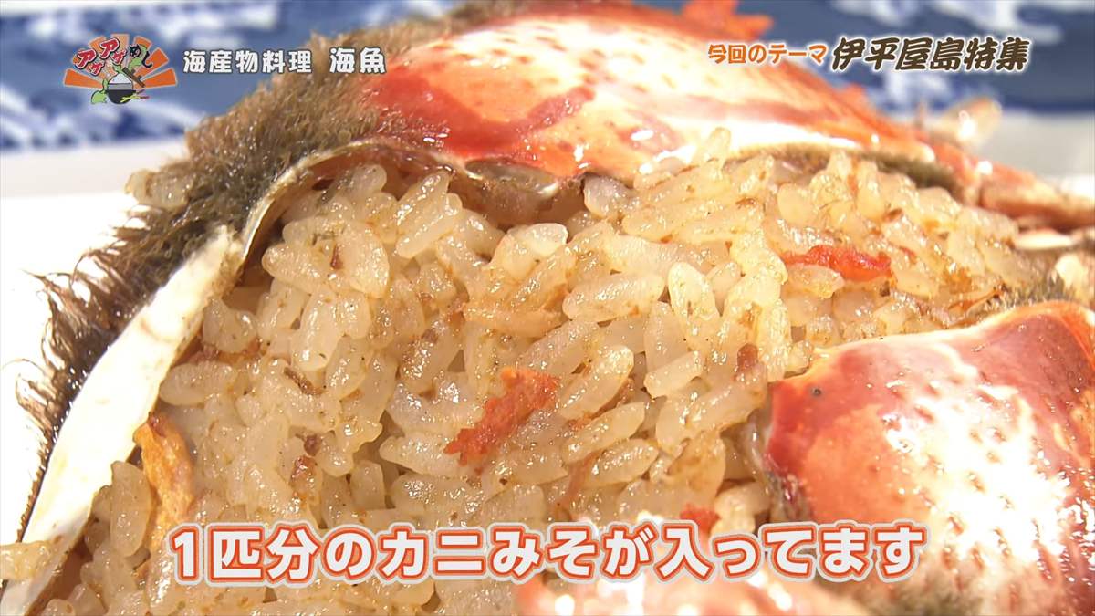 海産物料理 海魚 (伊平屋村我喜屋)|OTV アゲアゲめし 2025年8月15日放送