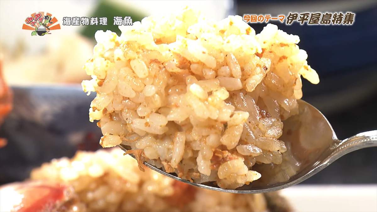 海産物料理 海魚 (伊平屋村我喜屋)|OTV アゲアゲめし 2025年8月15日放送