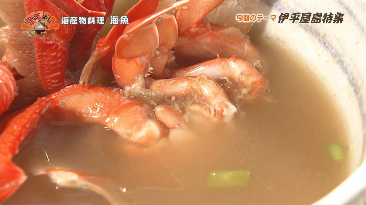 海産物料理 海魚 (伊平屋村我喜屋)|OTV アゲアゲめし 2025年8月15日放送