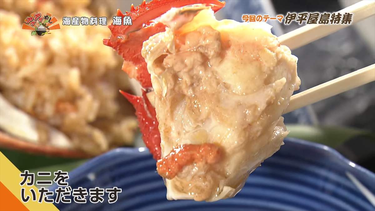 海産物料理 海魚 (伊平屋村我喜屋)|OTV アゲアゲめし 2025年8月15日放送
