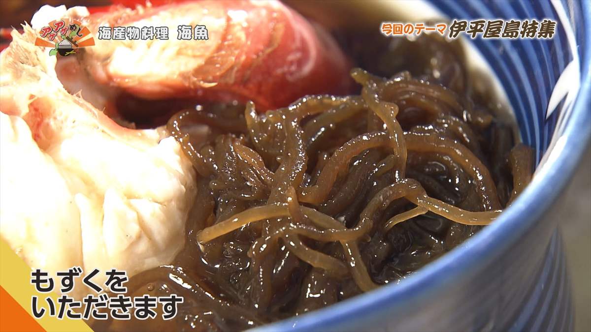 海産物料理 海魚 (伊平屋村我喜屋)|OTV アゲアゲめし 2025年8月15日放送