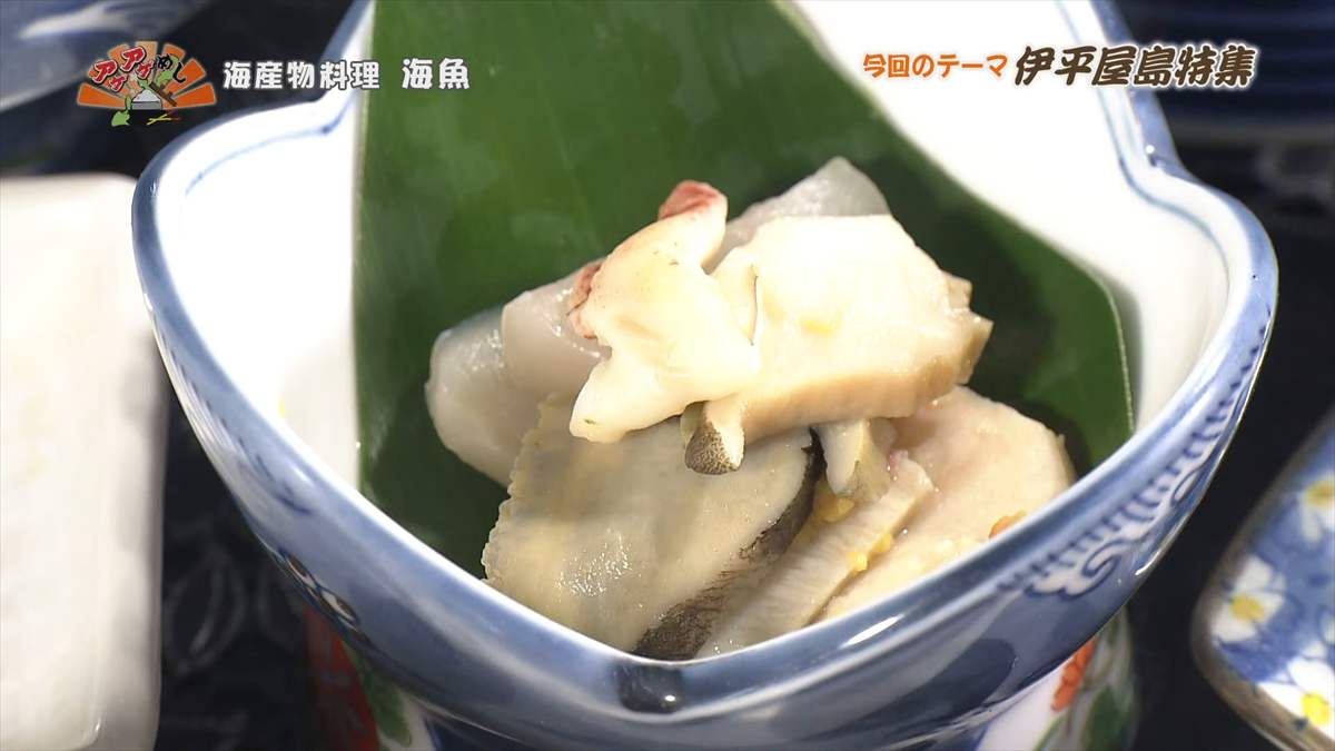 海産物料理 海魚 (伊平屋村我喜屋)|OTV アゲアゲめし 2025年8月15日放送