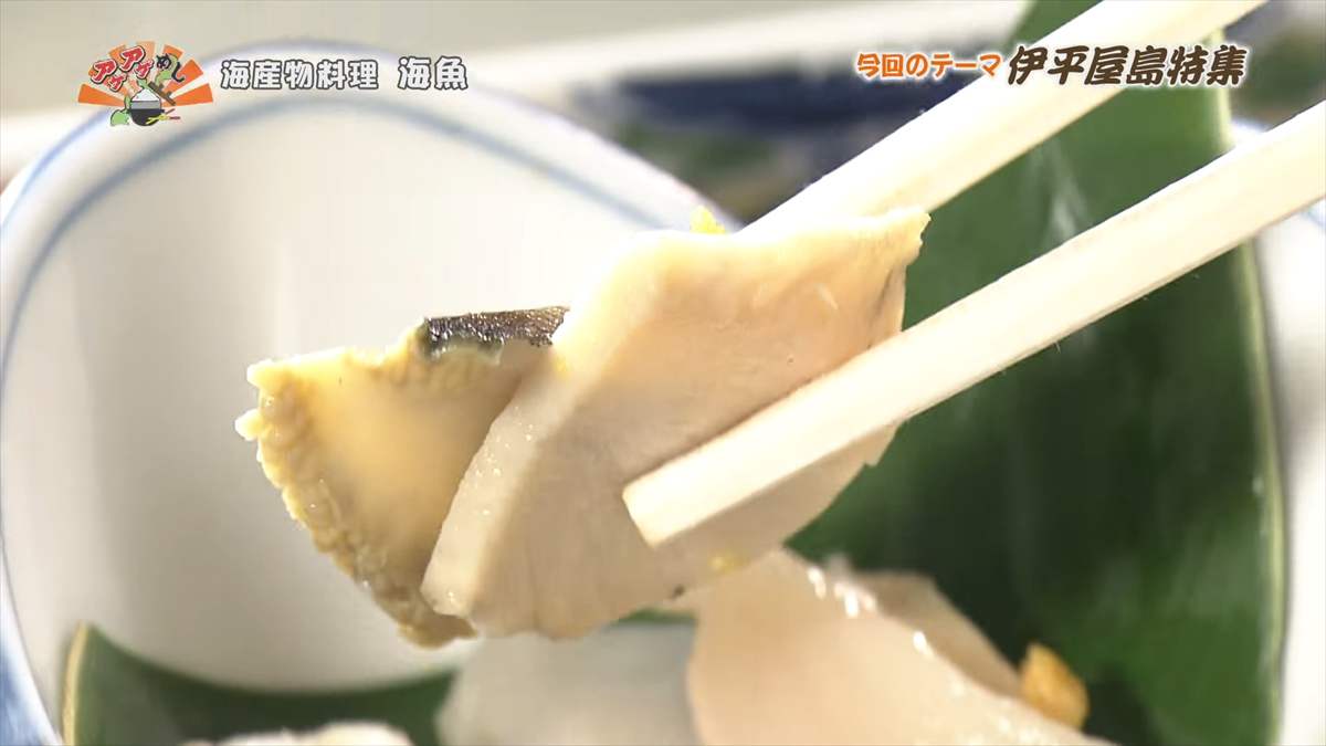海産物料理 海魚 (伊平屋村我喜屋)|OTV アゲアゲめし 2025年8月15日放送