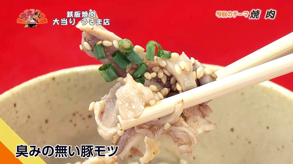 鉄板焼肉 大当り うるま店(うるま市みどり町)|OTV アゲアゲめし 2025年8月29日放送