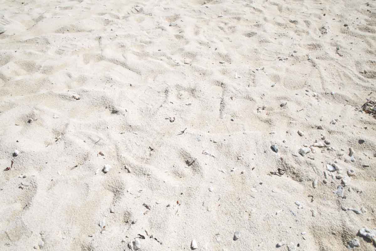 エメラルドグリーンの海と白い砂浜がまぶしい！那覇から気軽に行ける自然豊かな「新原ビーチ」（南城市）