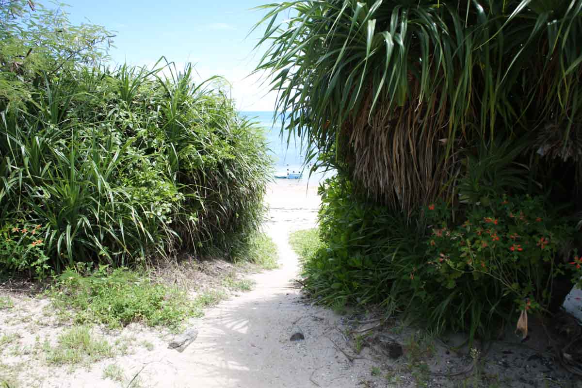 浜比嘉島にある穴場！沖縄の自然が残る「ムルク浜ビーチ」を徹底解説（うるま市）