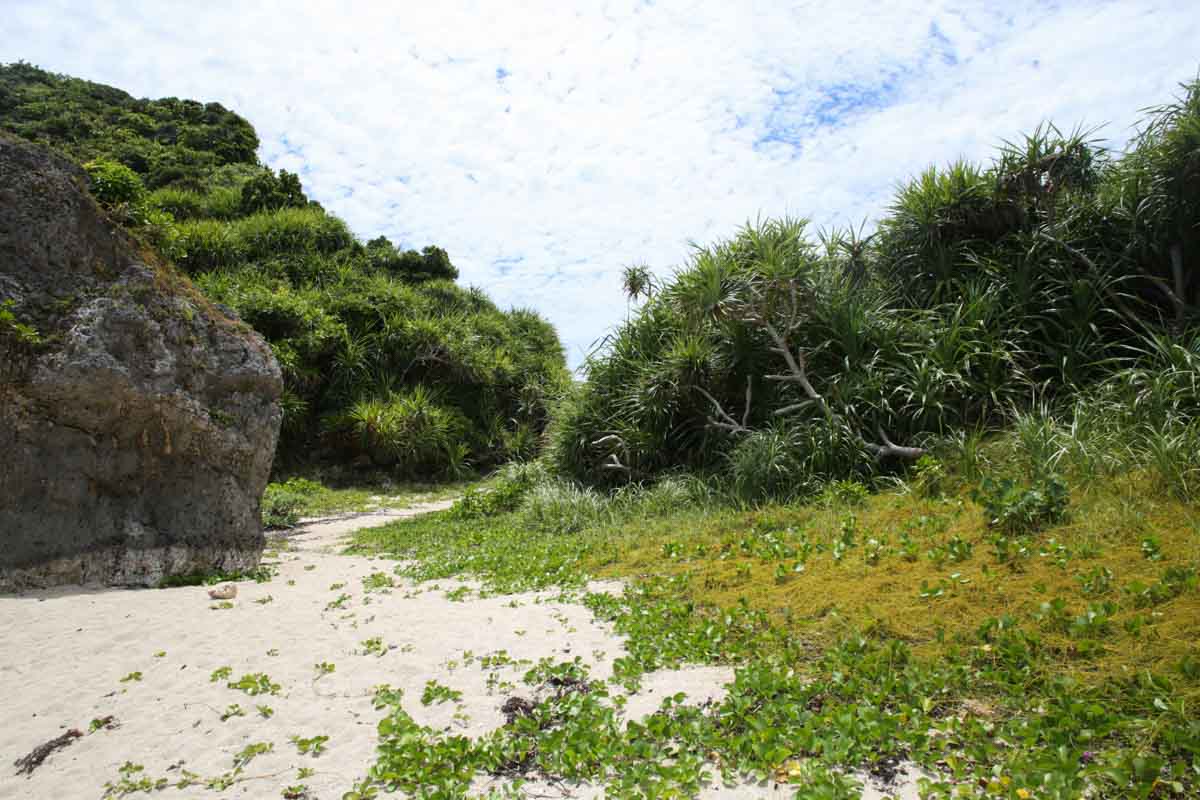 浜比嘉島にある穴場！沖縄の自然が残る「ムルク浜ビーチ」を徹底解説（うるま市）