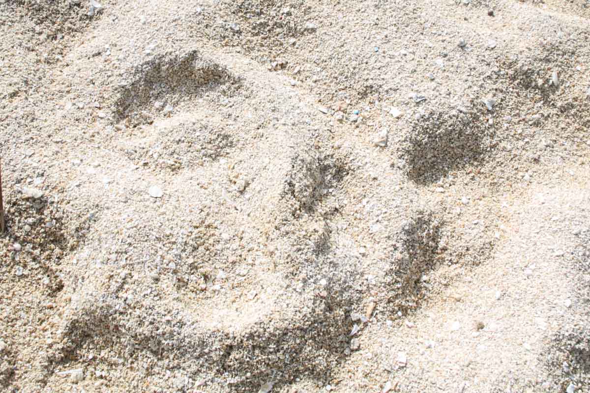 子ども連れでもあんしん！大人も子どももみんなで楽しめる「北谷公園 サンセットビーチ」を徹底解説（北谷町）