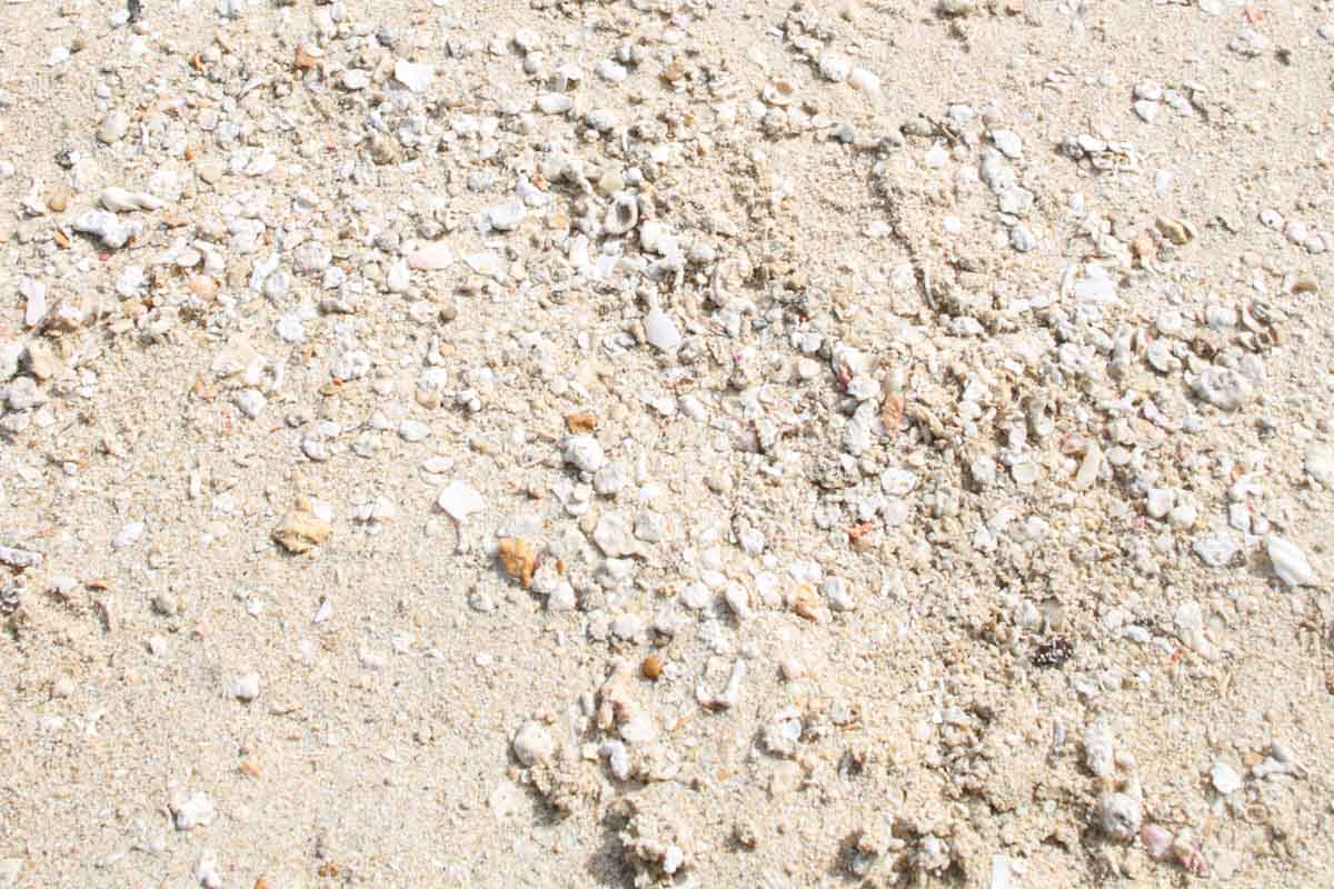 子ども連れでもあんしん！大人も子どももみんなで楽しめる「北谷公園 サンセットビーチ」を徹底解説（北谷町）