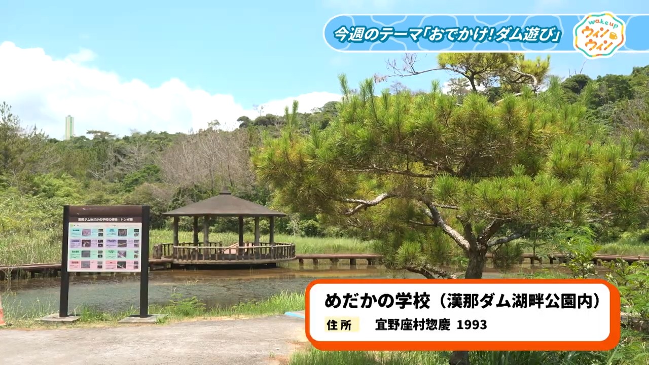 ウィンウィン　2025年8月17日放送