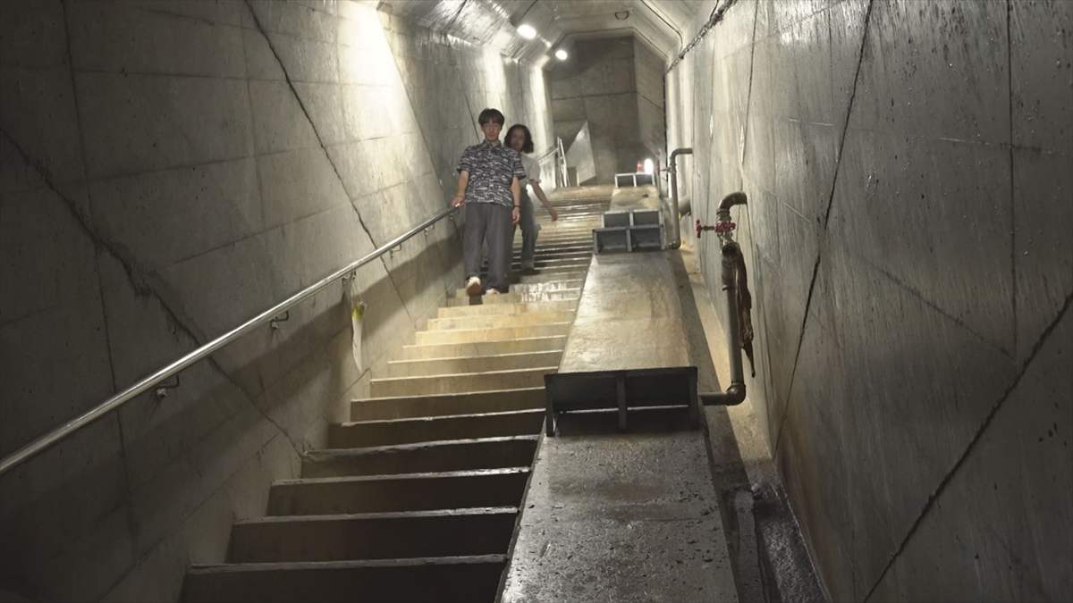 ウィンウィン　2025年8月17日放送