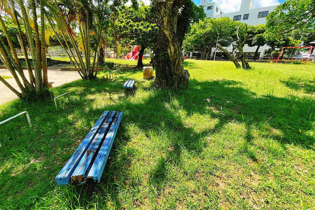 中央公園_那覇市