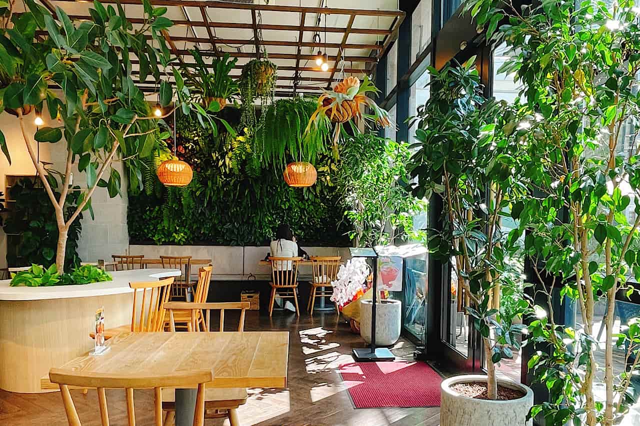 10種類以上のフルーツを贅沢に！「GREEN&CAFE（グリーンアンドカフェ）」で味わう癒しのモーニング（那覇市）