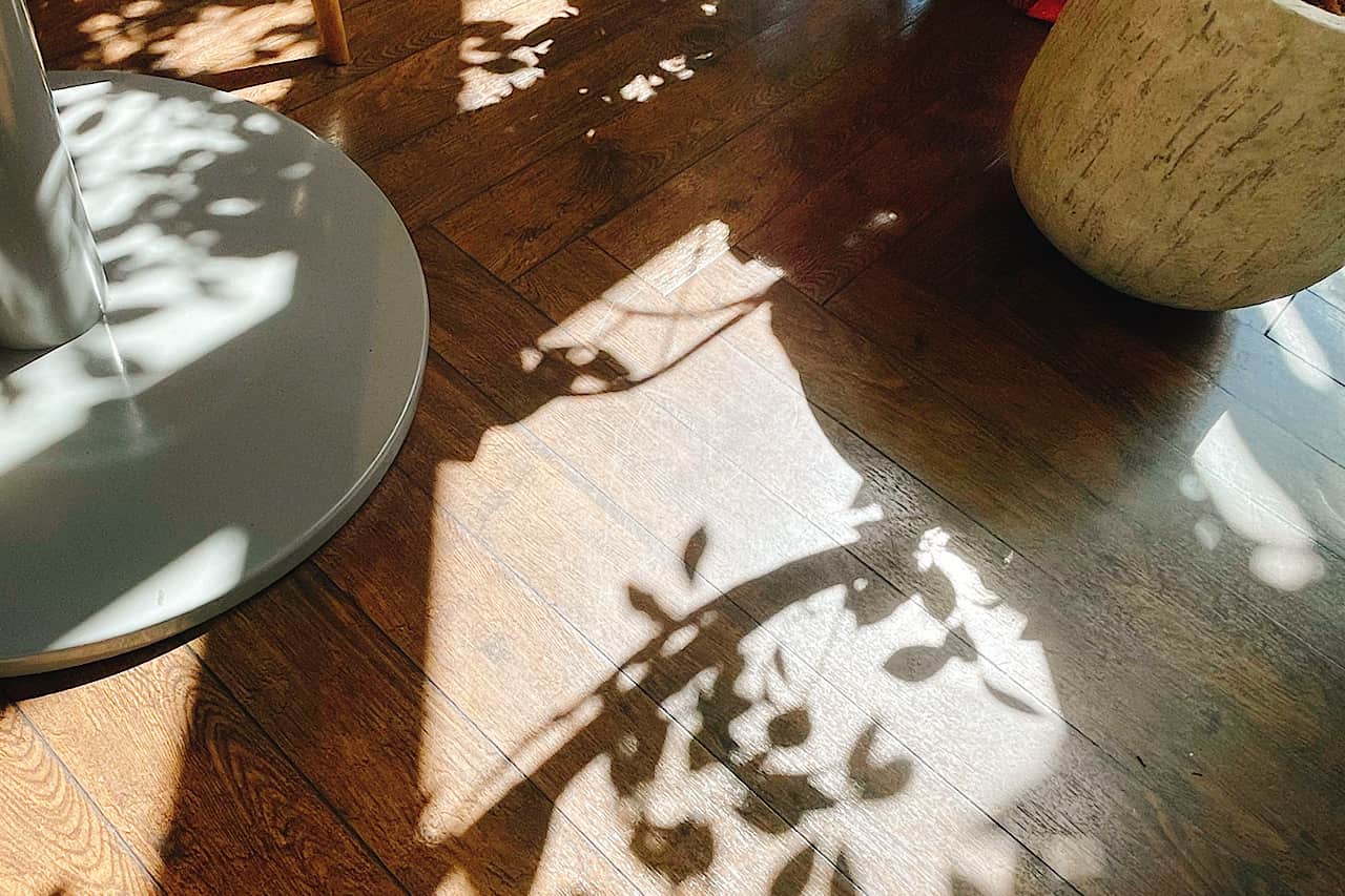 10種類以上のフルーツを贅沢に！「GREEN&CAFE（グリーンアンドカフェ）」で味わう癒しのモーニング（那覇市）