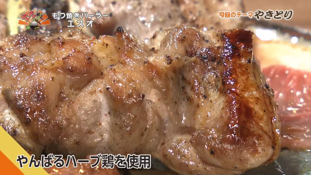もつ焼きパーラー エスオ（宜野湾市大謝名）｜OTV アゲアゲめし 2025年9月19日放送