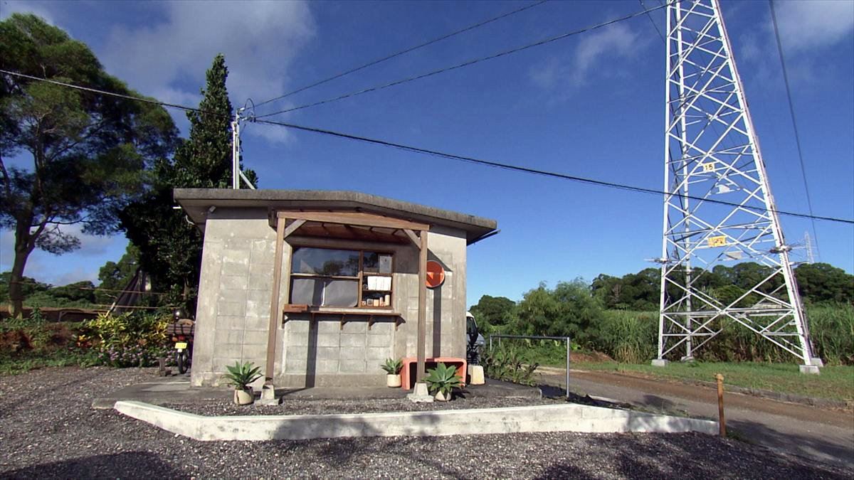TETTOH TEA FACTORY (うるま市石川山城)|OTV アゲアゲめし 2025年9月26日放送