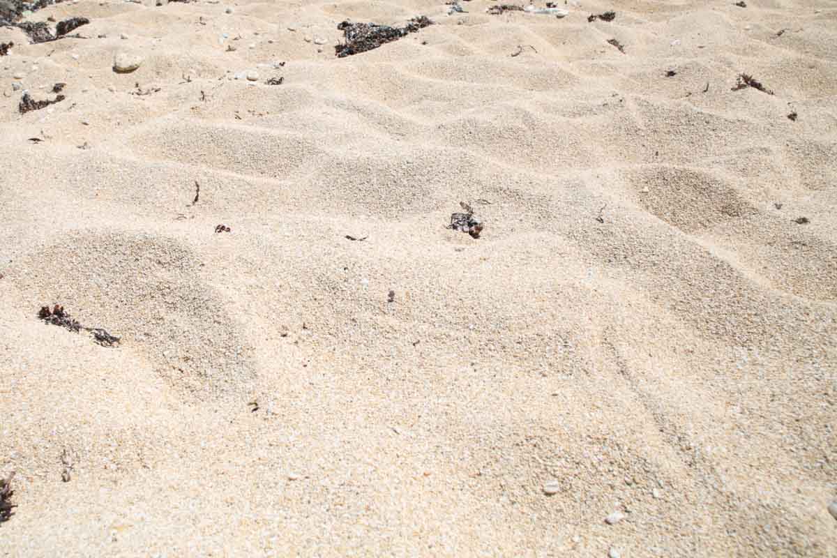CM・ドラマ撮影地！ウミガメが産卵に訪れる宮城島の秘境「アクナ浜ビーチ」（うるま市）