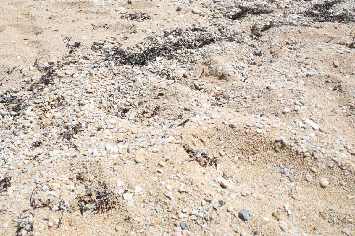 CM・ドラマ撮影地！ウミガメが産卵に訪れる宮城島の秘境「アクナ浜ビーチ」（うるま市）