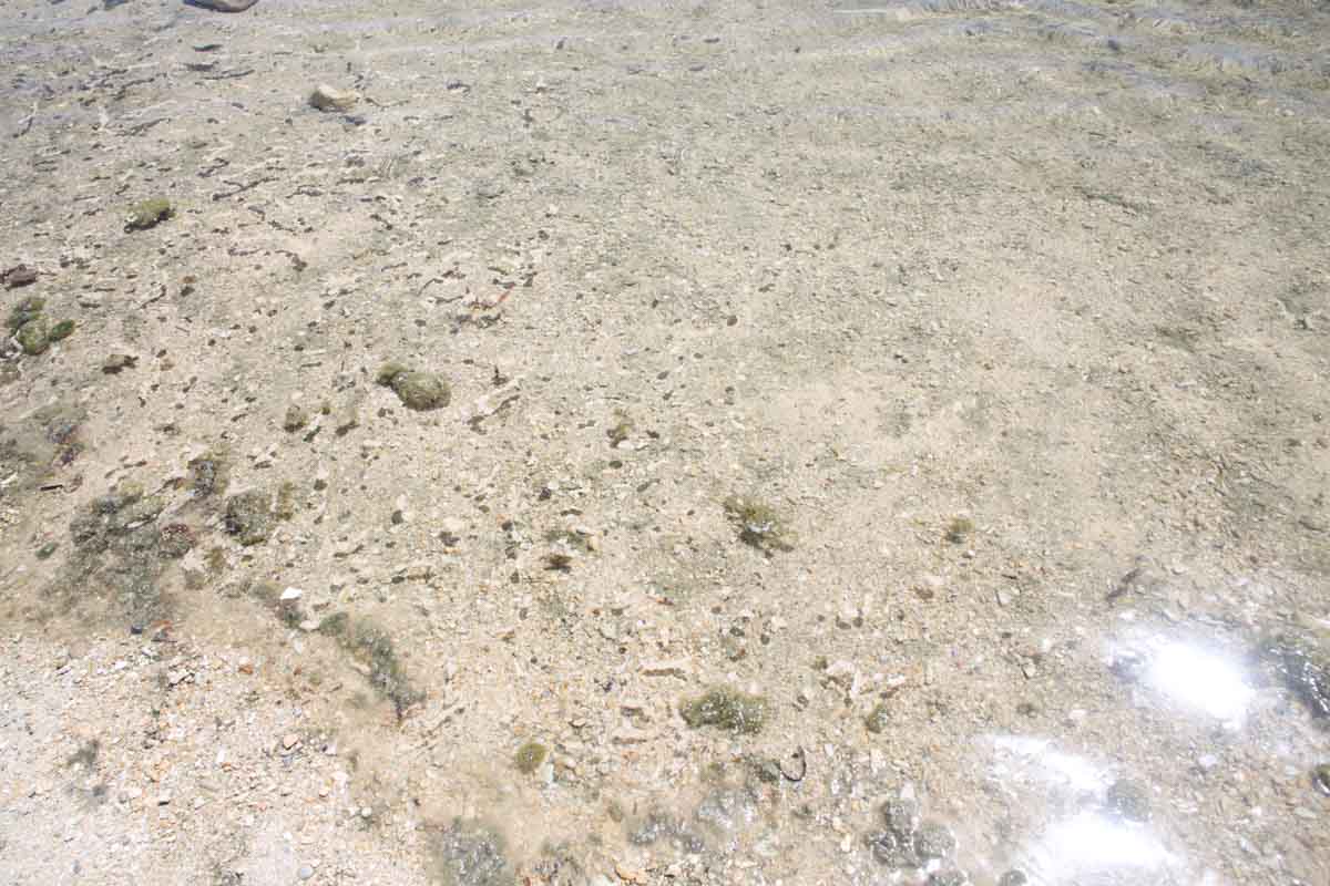 沖縄南部の隠れ家！波のない“天然プール”で遊べる個性あふれる「玻名城の郷ビーチ」（八重瀬町）