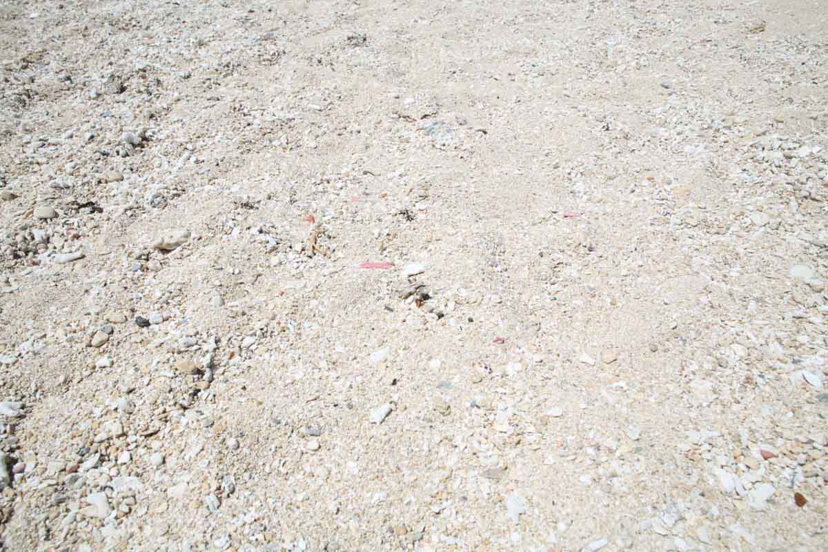 沖縄南部の隠れ家！波のない“天然プール”で遊べる個性あふれる「玻名城の郷ビーチ」（八重瀬町）