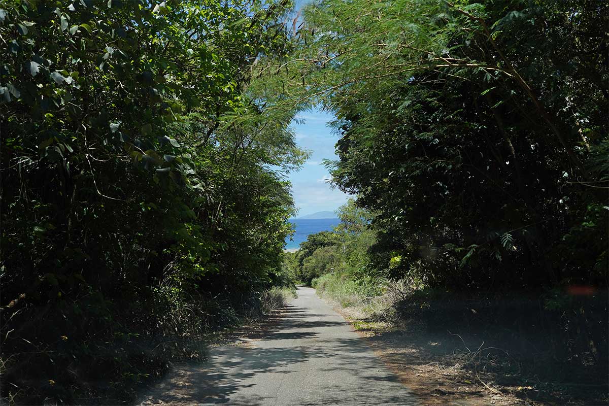 波照間島のオアシス的カフェ「パーラーみんぴか」で感じる島時間(波照間島)