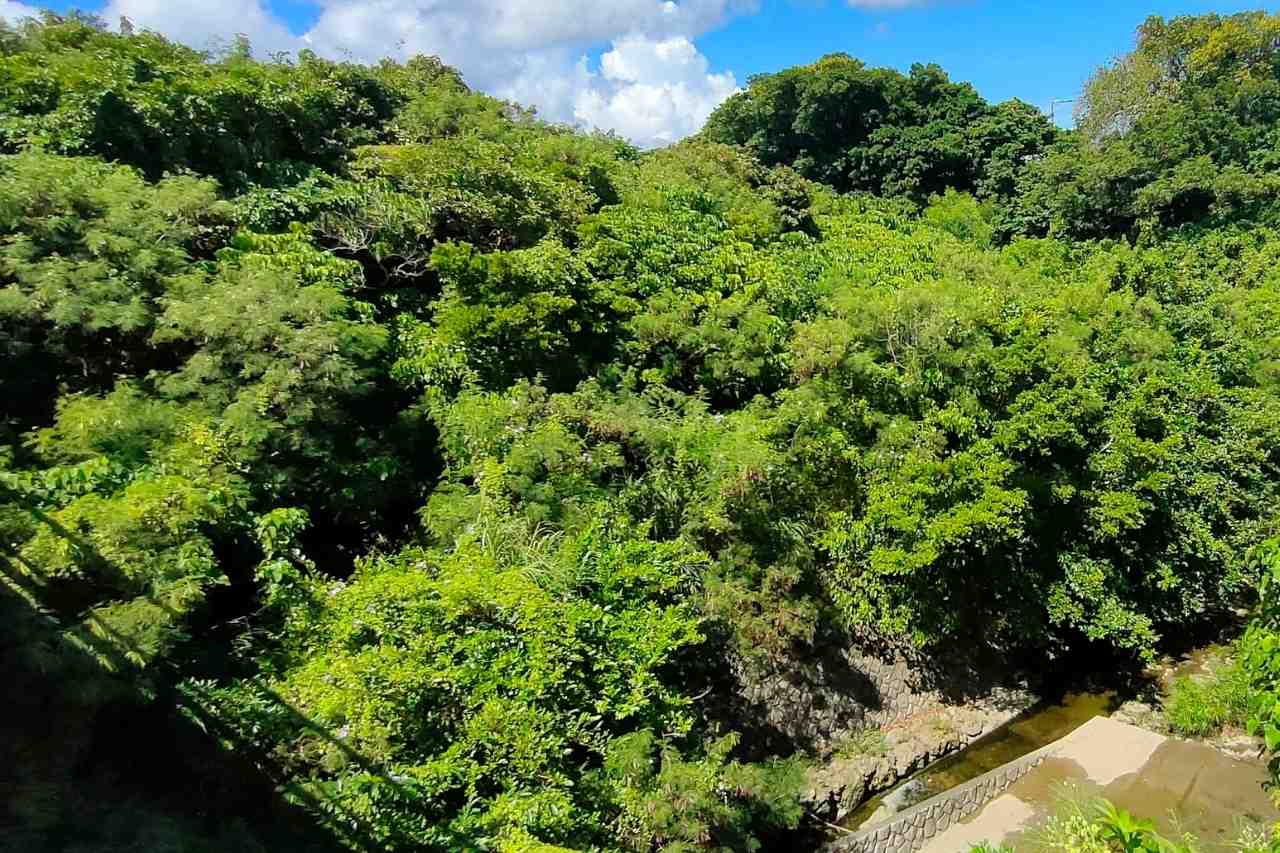 比屋良川公園_宜野湾市