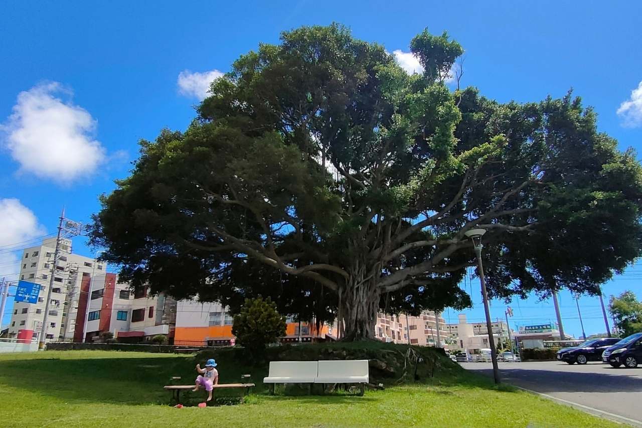 比屋良川公園_宜野湾市