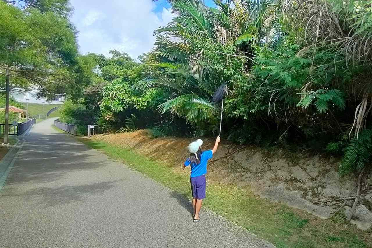 比屋良川公園_宜野湾市
