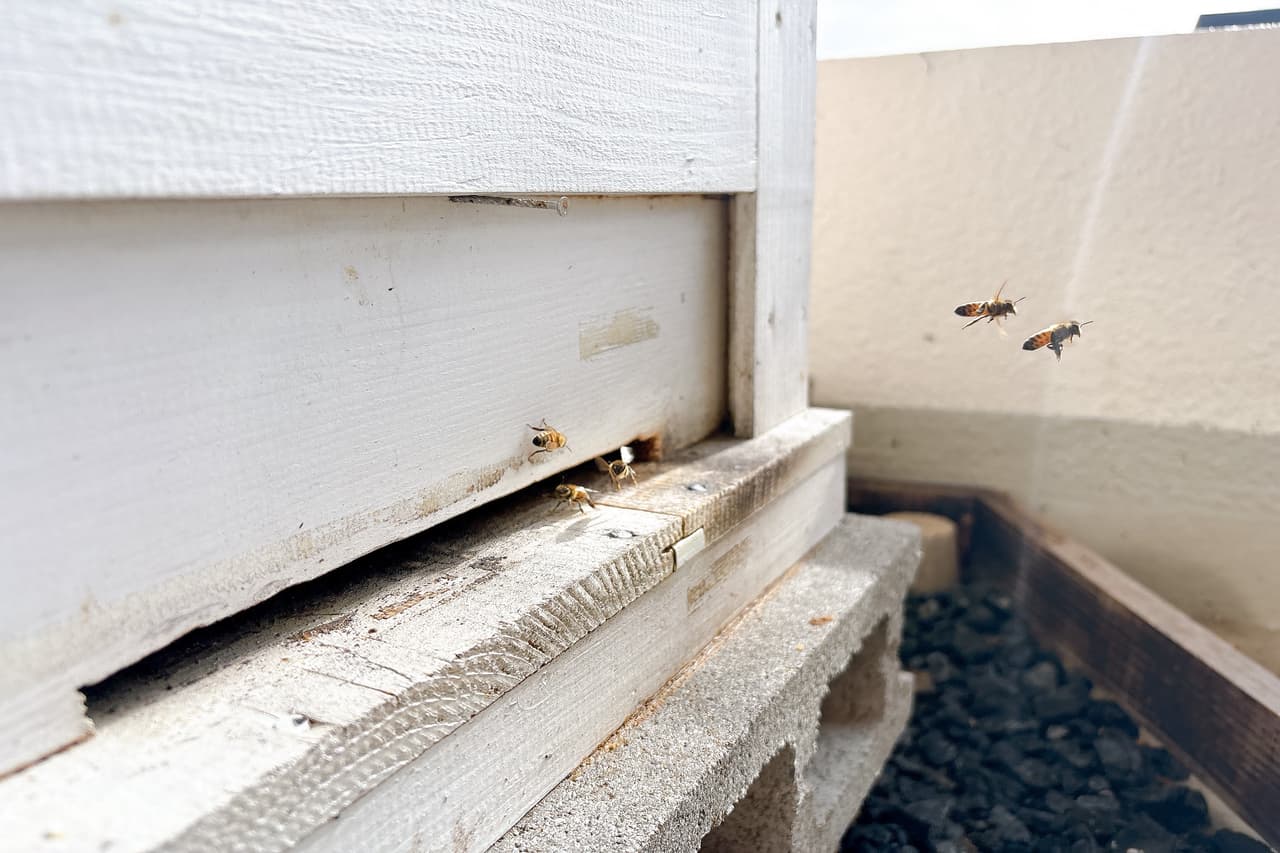 「暮らしの発酵DELI&CAFE（デリ アンド カフェ）」で過ごすこだわりの食と安らぎの朝時間（北中城村）