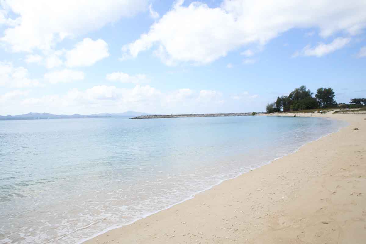 地元民の憩いの場！「21世紀の森ビーチ」の基本情報と施設情報を徹底解説（名護市）
