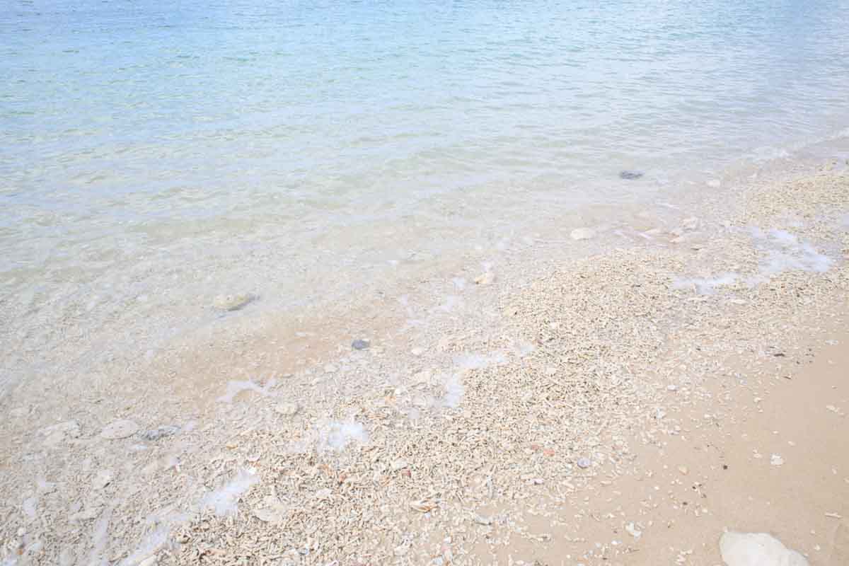 地元民の憩いの場！「21世紀の森ビーチ」の基本情報と施設情報を徹底解説（名護市）