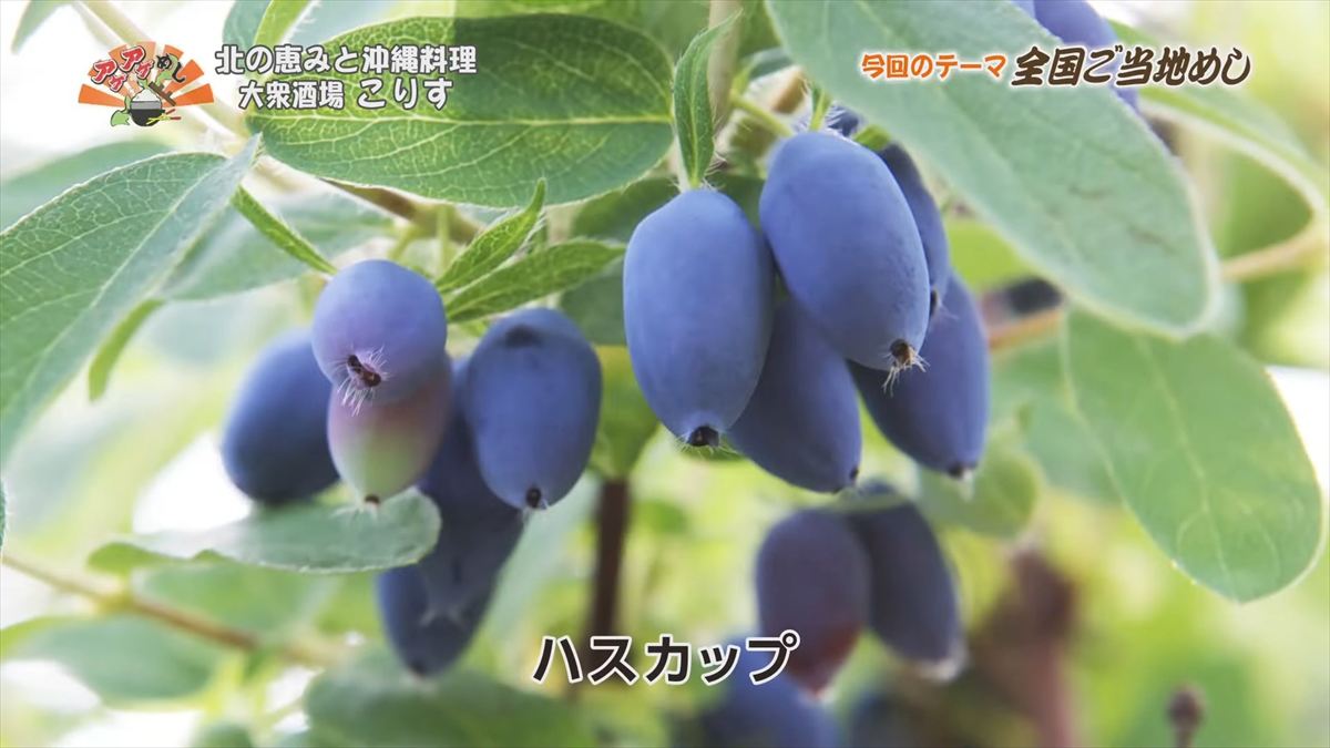 北の恵みと沖縄料理 大衆酒場 こりす （那覇市前島）｜OTV アゲアゲめし 2025年10月3日放送