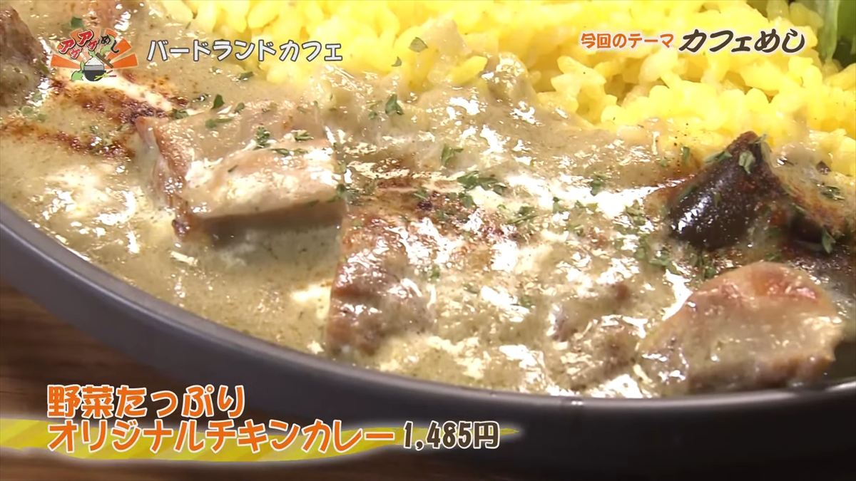 バードランドカフェ(沖縄市呉屋)|OTV アゲアゲめし 2025年10月24日放送
