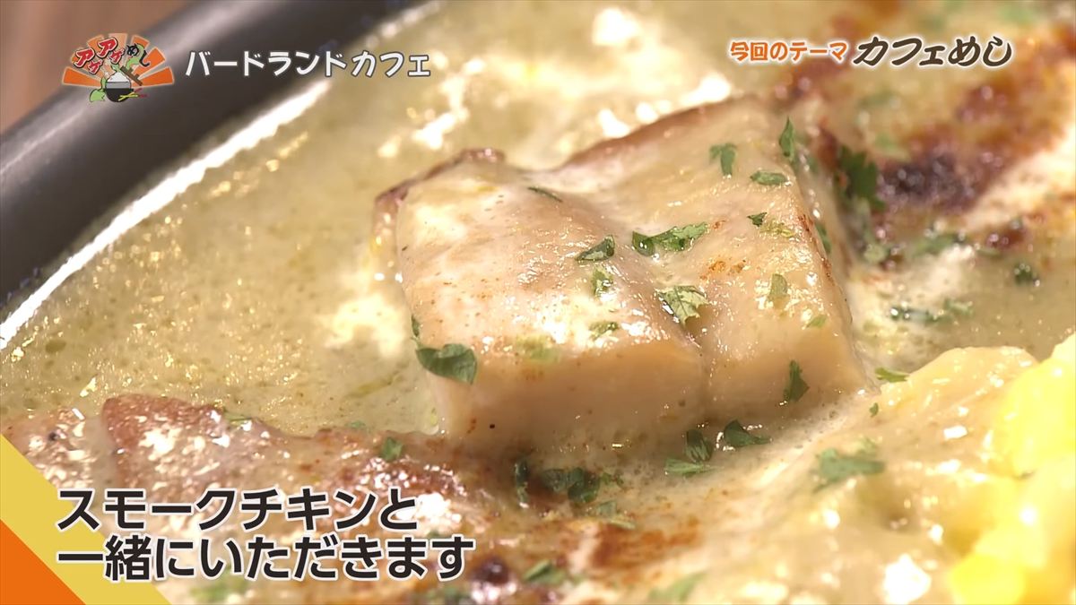 バードランドカフェ(沖縄市呉屋)|OTV アゲアゲめし 2025年10月24日放送